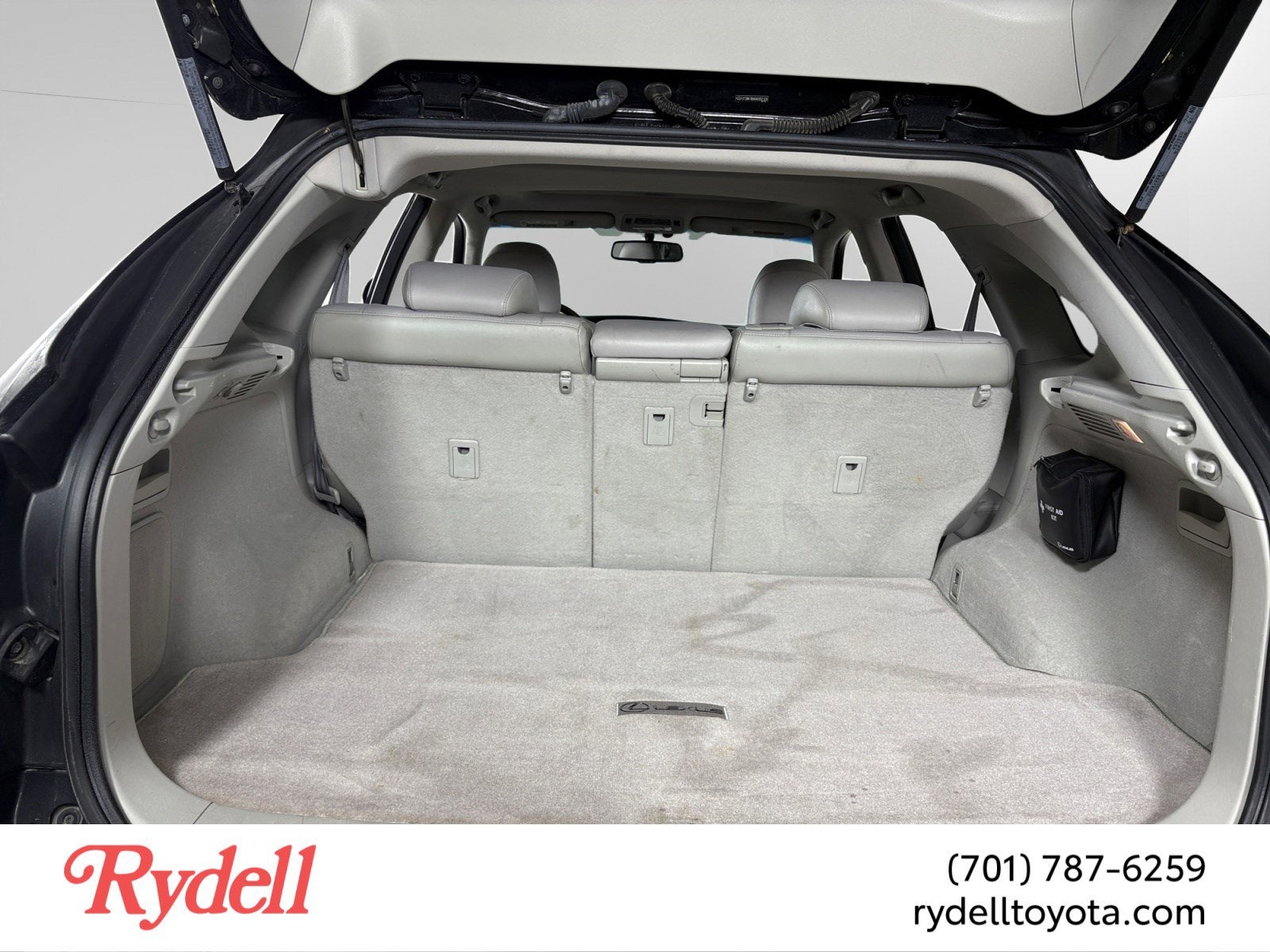 2010 Lexus RX 350 rx 350