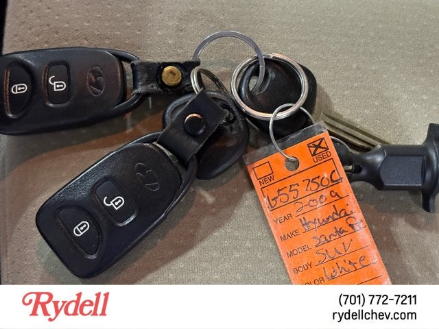 2009 Hyundai Santa Fe SE